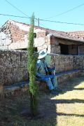 IMG8293-copia